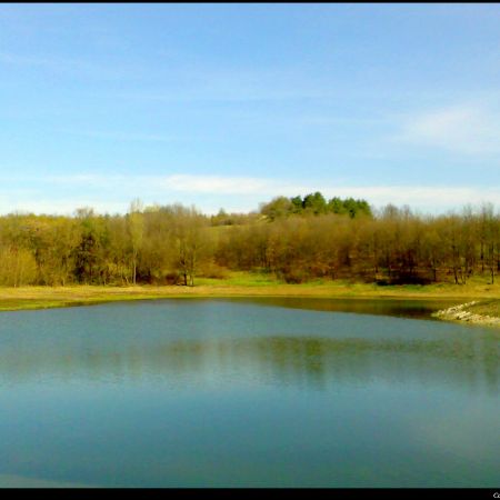 Lacul primavara